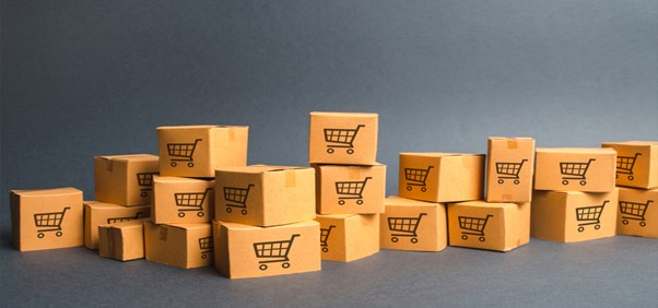 E Commerce - Flipkart and Amazon