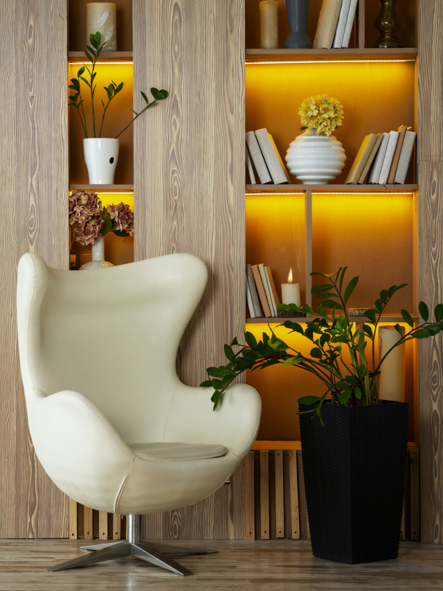 interior-design-with-armchair-potted-plant