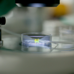 Australian Startup Develops New Hormone Sensor to Streamline IVF Treatment and Improve Fertility Care