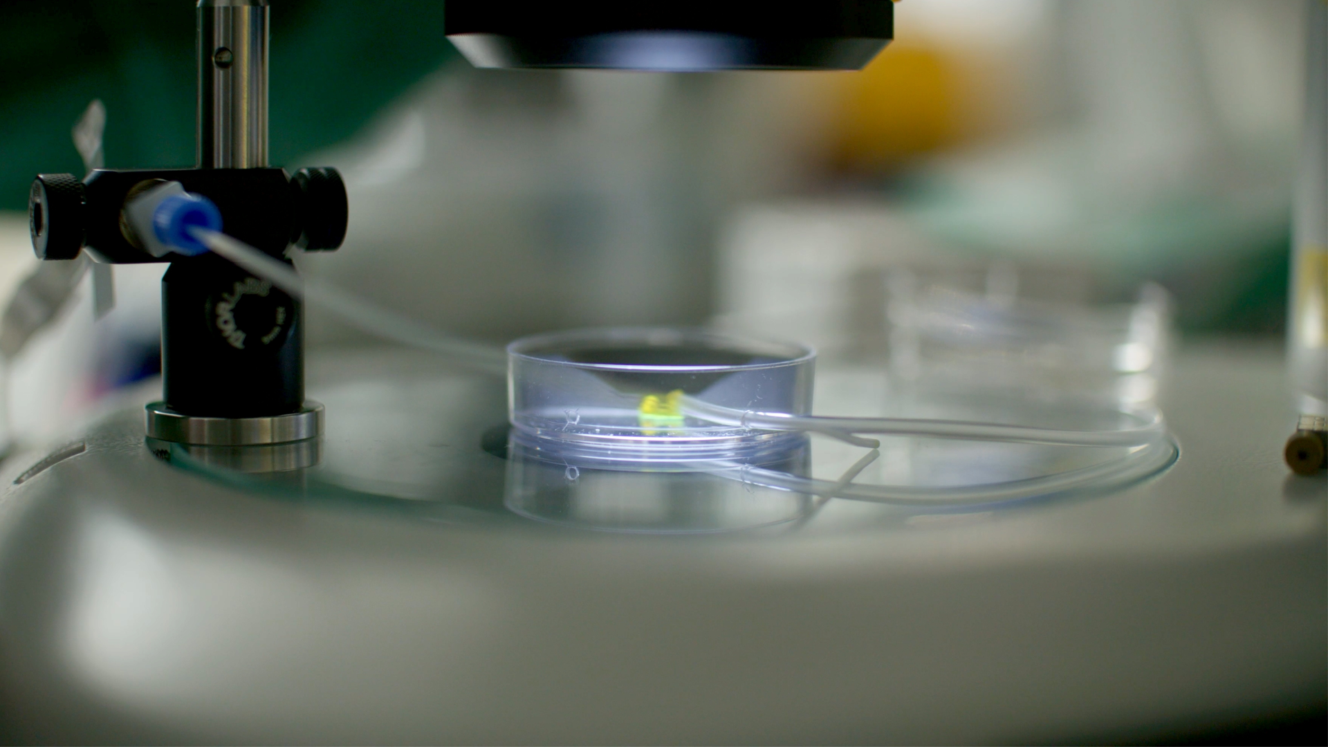 Australian Startup Develops New Hormone Sensor to Streamline IVF Treatment and Improve Fertility Care