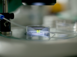 Australian Startup Develops New Hormone Sensor to Streamline IVF Treatment and Improve Fertility Care