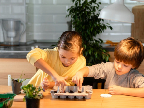 Titan Capital Leads Resale Startup IPF’s Seed Fundraising